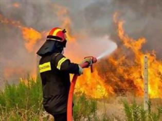 Φωτογραφία για Αποκάλυψη: Δεν θα χαρακτηριστεί πυρόπληκτη η Μεσσαρά - Δεν ολοκλήρωσε το φάκελο η Περιφέρεια