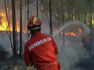 Φωτογραφία για Ακόμα ένας νεκρός πυροσβέστης από τις φωτιές στην Πορτογαλία