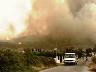 Φωτογραφία για Ανυπολόγιστη καταστροφή άφησε πίσω της η φωτιά στη Βοιωτία [Video]
