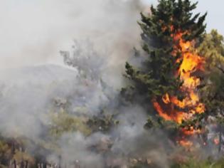Φωτογραφία για Καίγεται ελατόδασος στην Ευρυτανία