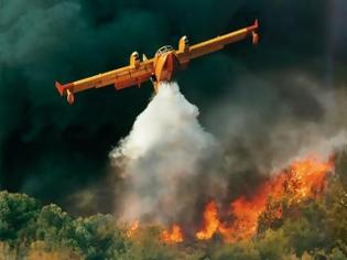 Φωτογραφία για Πυρκαγιά στην Μεσσήνη