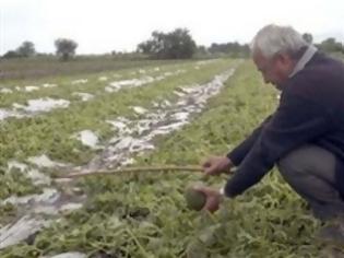 Φωτογραφία για Αναπροσαρμόζονται τα τέλη εκτίμησης ζημιών από τον ΕΛΓΑ