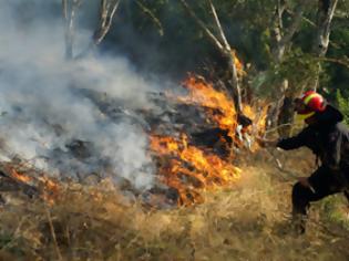 Φωτογραφία για Mεγάλη φωτιά στο Τρικόρυφο Φιλιατών, μικρή στο Γαρδίκι Παραμυθιάς...