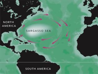 Φωτογραφία για Το αίνιγμα της Θάλασσας των Σαργασσών