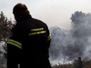 Φωτογραφία για Φωτιά στην Κρήνη Κέρκυρας