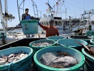 Φωτογραφία για Απαγορεύθηκαν οι εισαγωγές θαλασσινών από την Φουκουσίμα