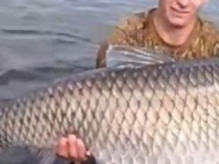 Φωτογραφία για Ψάρι 29 κιλών στο Τσέρνομπιλ! [video]