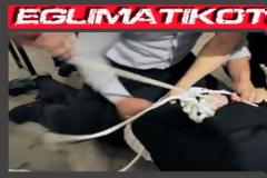 Ρέθυμνο: Νύχτα... παθών για 96χρόνο στα χέρια αδίστακτων ληστών!