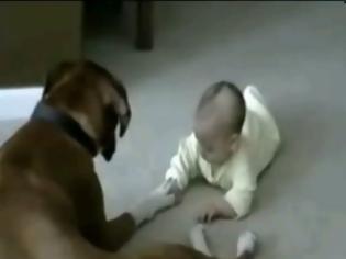 Φωτογραφία για VIDEO: Σκύλος και μωράκι χέρι- χέρι!
