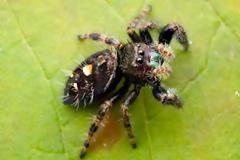 Αναγνώστης αναφέρει 