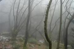 Αγνοείται αθλητής στον Ταΰγετο