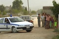 Προσαγωγές γυναικών που έκλεβαν αρνιά