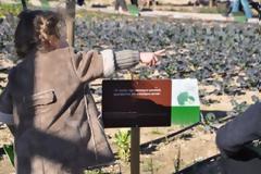 Μαθαίνουμε στα παιδιά μας έναν εναλλακτικό, πιο αισιόδοξο τρόπο ζωής