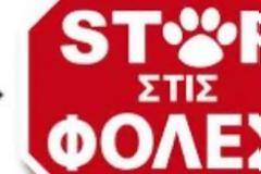 Αναγνώστης αναφέρει 