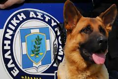 Τα λάθη της ΕΛ.ΑΣ. αφήνουν ατιμώρητους τους δράστες