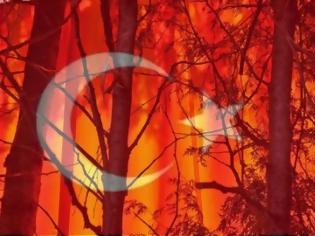 Φωτογραφία για ΠΡΟΚΛΗΣΗ: Φέρνουν Τούρκους για να προστατεύσουν τα δάση μας!