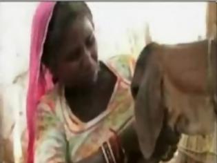 Φωτογραφία για VIDEO: Γυναίκα θηλάζει… νεογέννητο μοσχαράκι!
