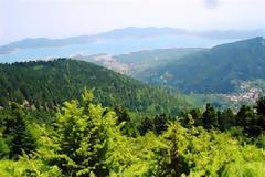 Οικολογική καταστροφή στο ελατόδασος της Καστανιάς