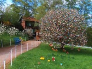 Φωτογραφία για ΔΕΙΤΕ: Ένα δέντρο με 10.000 πασχαλινά αβγά!