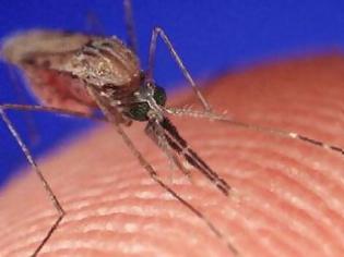 Φωτογραφία για Κόκκινος συναγερμός για τα κουνούπια στη Φθιώτιδα