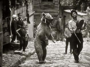 Φωτογραφία για Ψηφίστε «Γορίλα», «Ασώματο κεφαλή» και την Αρκούδα που χορεύει όπως της βαράνε…
