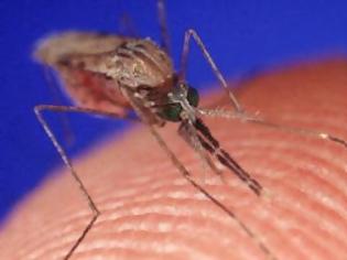 Φωτογραφία για Φθιώτιδα: 21 Μαΐου ο διαγωνισμός για τα κουνούπια - Αγωνιούν οι γιατροί [video]