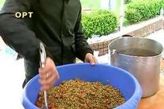 Βίντεο: «Φασαλάτα»... για τα ρεκόρ Γκίνες στον Πύργο!