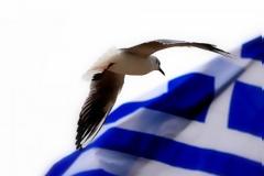 Η ράτσα σου γεννήθηκε να πολεμάει το αδύνατο και να το νικάει