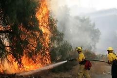 ΤΩΡΑ: Φωτιά στη Ροδόπολη Αττικής
