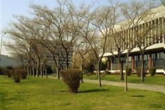 Σήμα κινδύνου για λουκέτα μετά το Πάσχα