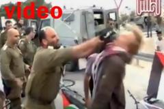Ισραηλινός αξιωματικός μαγνητοσκοπήθηκε να χτυπά Δανό ακτιβιστή