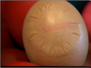 Φωτογραφία για Τα 'χουν παίξει οι Σκοπιανοί...Πιστεύουν ότι μια κότα γέννησε… αυγό με τον Ήλιο της Βεργίνας