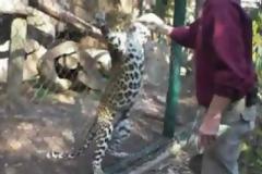 VIDEO:  Γιατί δεν πρέπει ποτέ να ταΐζουμε ζώα στους ζωολογικούς κήπους...