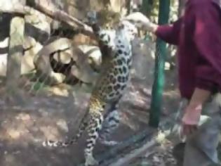 Φωτογραφία για VIDEO:  Γιατί δεν πρέπει ποτέ να ταΐζουμε ζώα στους ζωολογικούς κήπους...