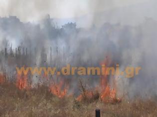 Φωτογραφία για Μεγάλη πυρκαγιά σε κατοικημένη περιοχή στην Δράμα [video]