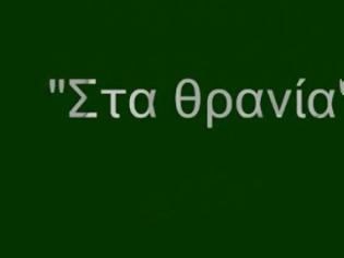 Φωτογραφία για Το σχολικό κλίμα των ημερών [video]