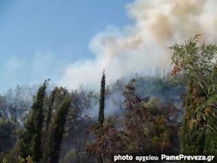 Φωτογραφία για Τέθηκε υπό έλεγχο η φωτιά στον Σκιαδά Πρέβεζας