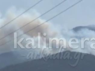 Φωτογραφία για Βίντεο από τη σημερινή μεγάλη φωτιά στην Αρκαδία