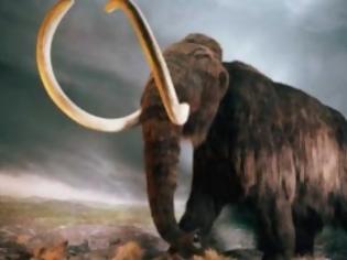 Φωτογραφία για Η κλιματική αλλαγή εξαφάνισε τα μαμούθ από την Ευρώπη;