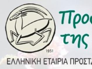 Φωτογραφία για Το βραβείο “Γαλάζια Σημαία” αφαιρέθηκε φέτος από δεκατρείς (13) Ελληνικές ακτές