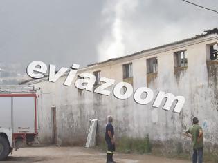 Φωτογραφία για Εύβοια: Τρία καταστήματα τυλίχτηκαν στις φλόγες από βραχυκύκλωμα