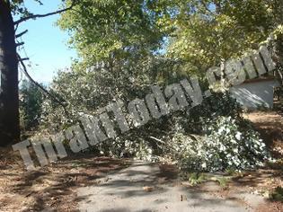 Φωτογραφία για Πτώσεις δέντρων και καταστροφές στην Ξάνθη από την κακοκαιρία