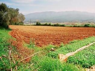 Φωτογραφία για 10€ το στρέμμα ο φόρος στα εκτός σχεδίου ακίνητα