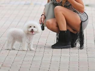 Φωτογραφία για Παπαράτσι: Νεαρή ηθοποιός έβγαλε βόλτα τον σκυλό της και το «νινάκι» της