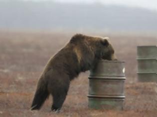 Φωτογραφία για Γρεβενά: Αρκούδα κατασπάραξε ζώα μέσα σε στάβλους