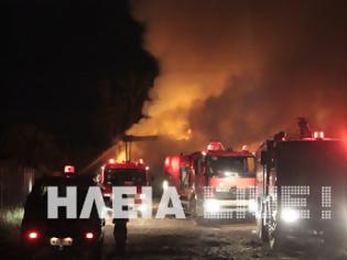 Φωτογραφία για Γαστούνη: Πυρκαγιά κατέστρεψε στάβλο ολoσχερώς