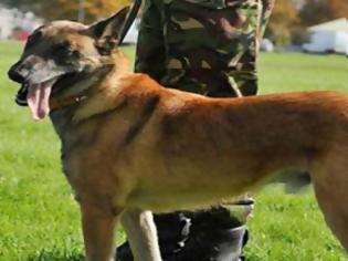 Φωτογραφία για Βρετανία: Θανάτωσαν τα σκυλιά του Ουίλλιαμ στην RAF