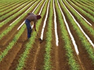 Φωτογραφία για «Να μην επιβαρυνθούν οι αγρότες με αβάσταχτες και άδικες φορολογίες - Τι θα γίνει με τα ανεκμετάλλευτα χωράφια;»