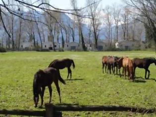 Φωτογραφία για Τα παθήματα δεν έγιναν μαθήματα