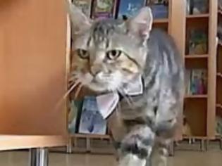 Φωτογραφία για Γάτος προσελήφθη ως βοηθός βιβλιοθηκάριου στην Ρωσία!